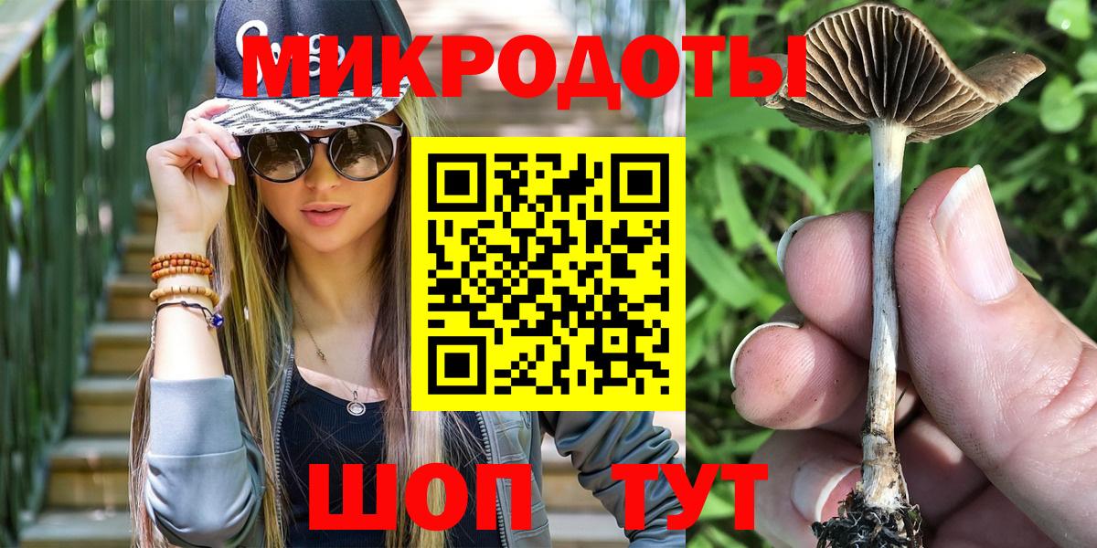 Галлюциногенные грибы Psilocybine cubensis Новоалександровск