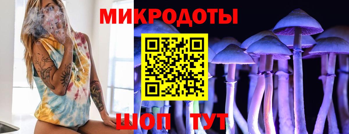 Галлюциногенные грибы Psilocybine cubensis  Галлюциногенные грибы Psilocybine cubensis  Новоалександровск  Вход с VPN 